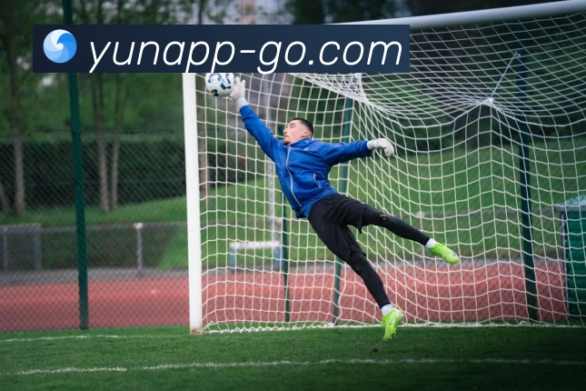 开云账户无法登录的原因解析及快速解决方法